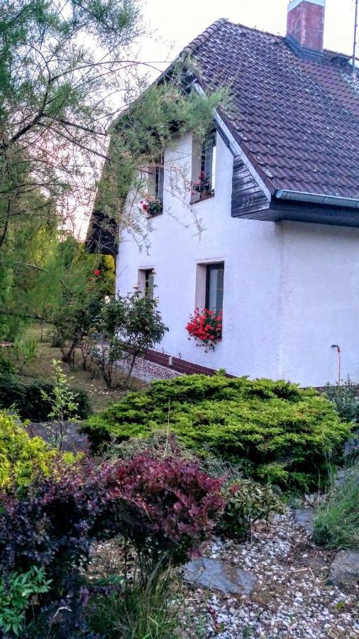 Vila V Podkrusnohori Jirkov Exteriör bild